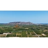 Sad mandarynkowy 2400 m2 Cullera, Walencja